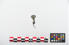 Foto von Bronzekahnfibel (NHMW-PRAE-024175)